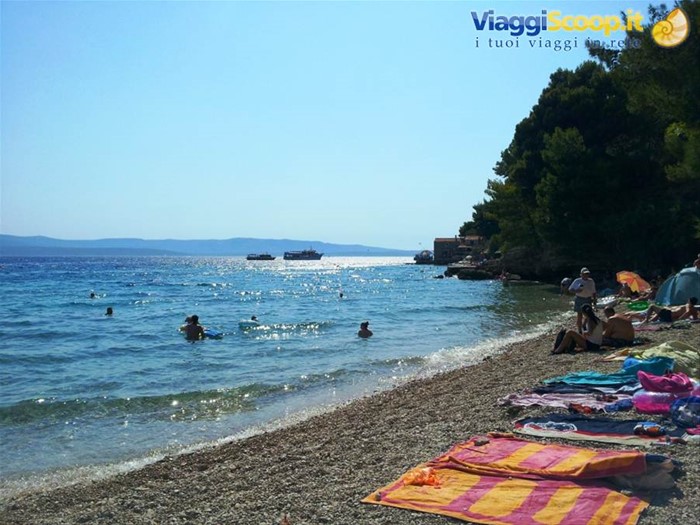 Bol