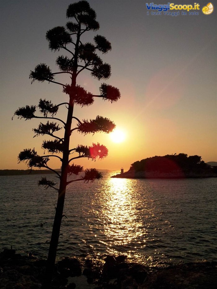 Hvar