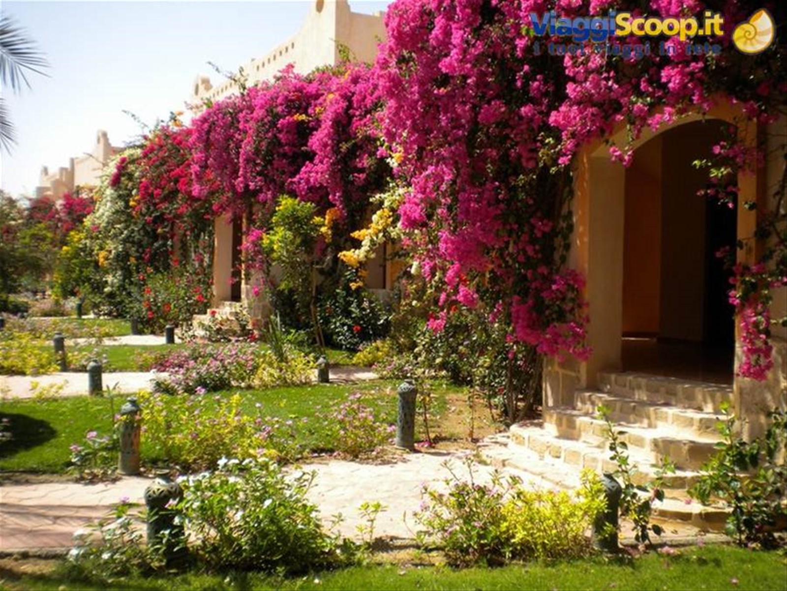 dream lagoon marsa alam
