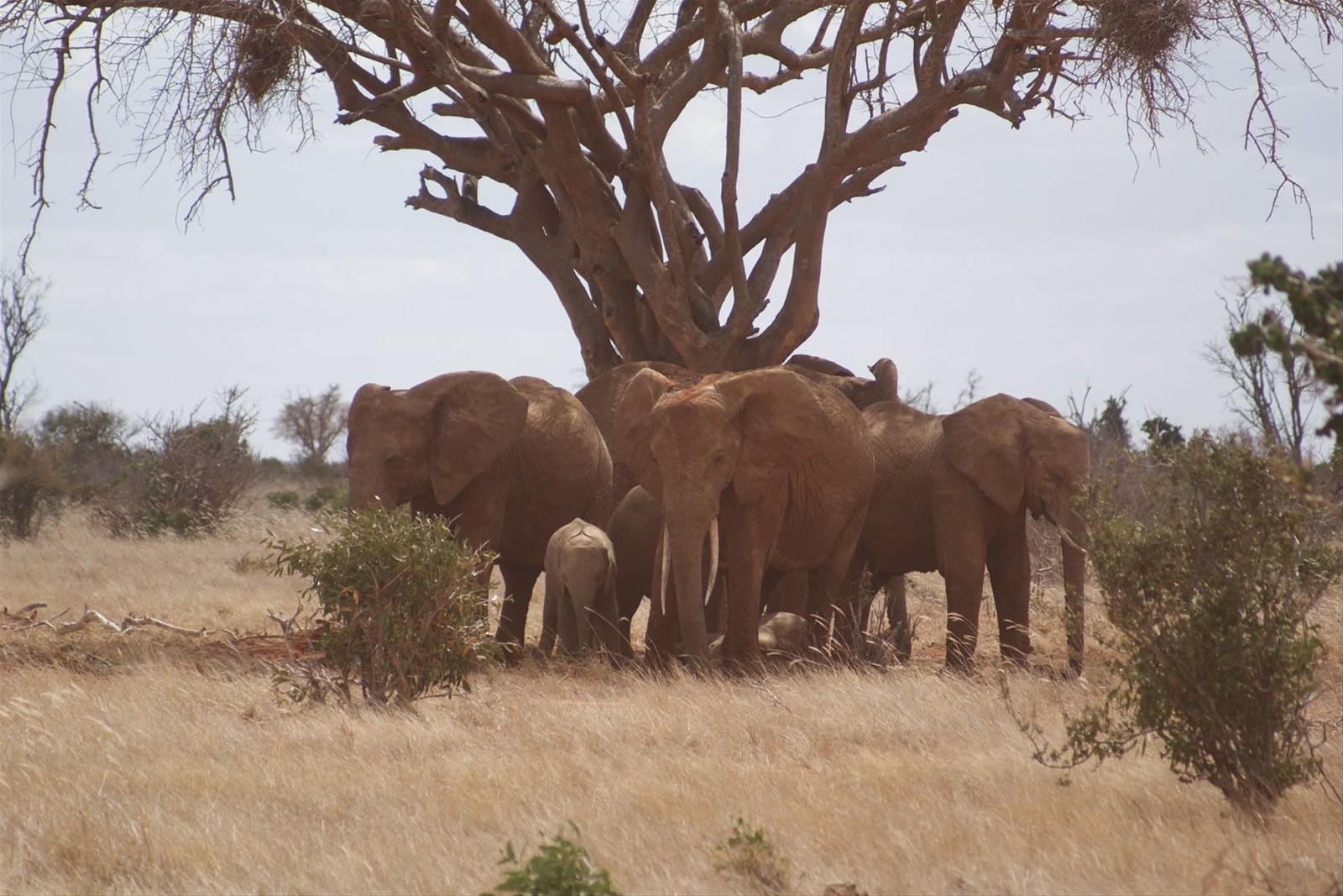 Foto di viaggio in KENYA