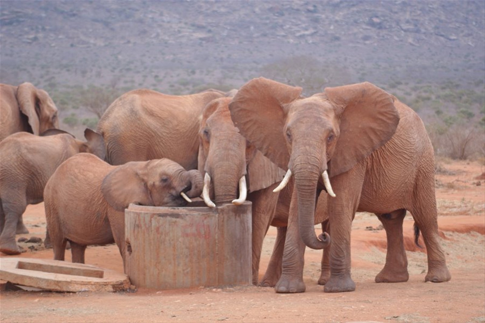 Foto di viaggio in KENYA
