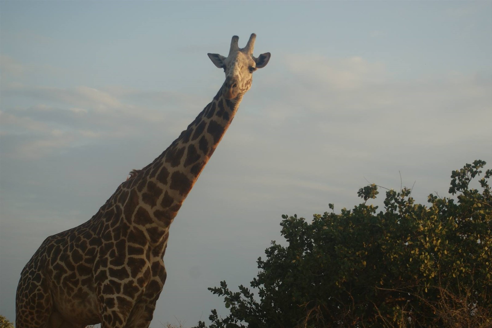 Foto di viaggio in KENYA