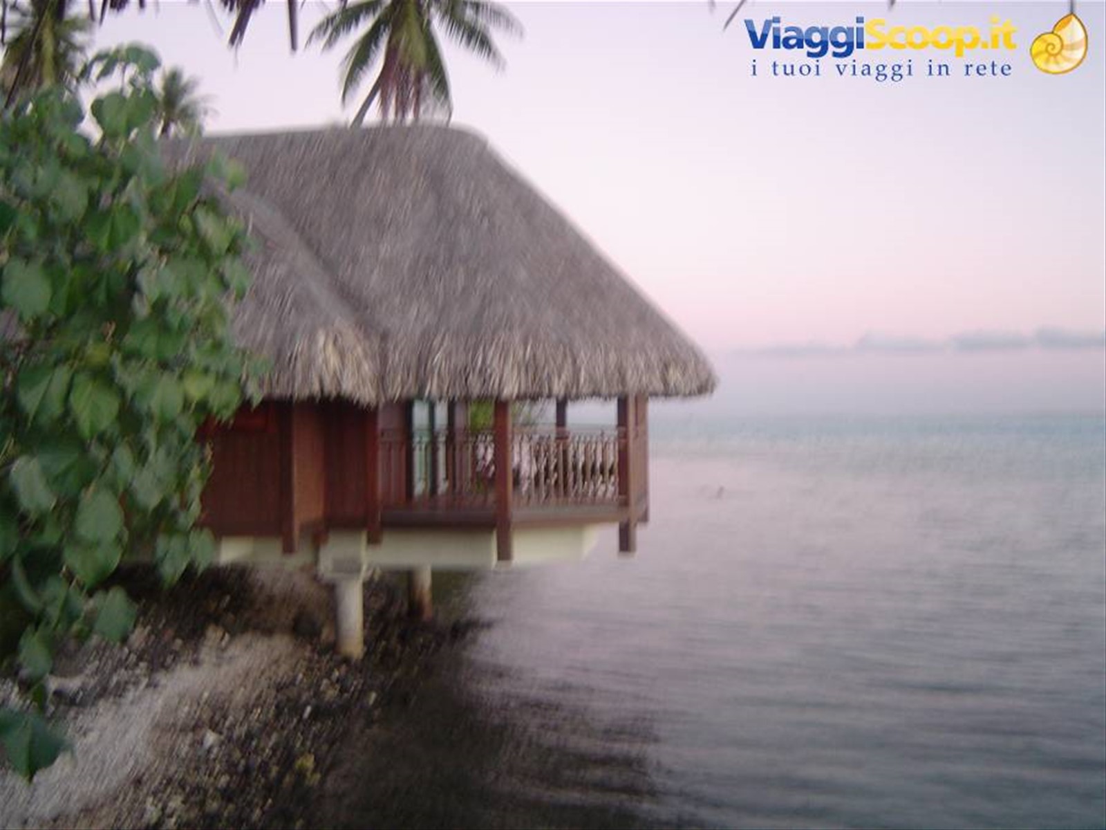 lagoon deluxe bungalow del Sofitel Motu
