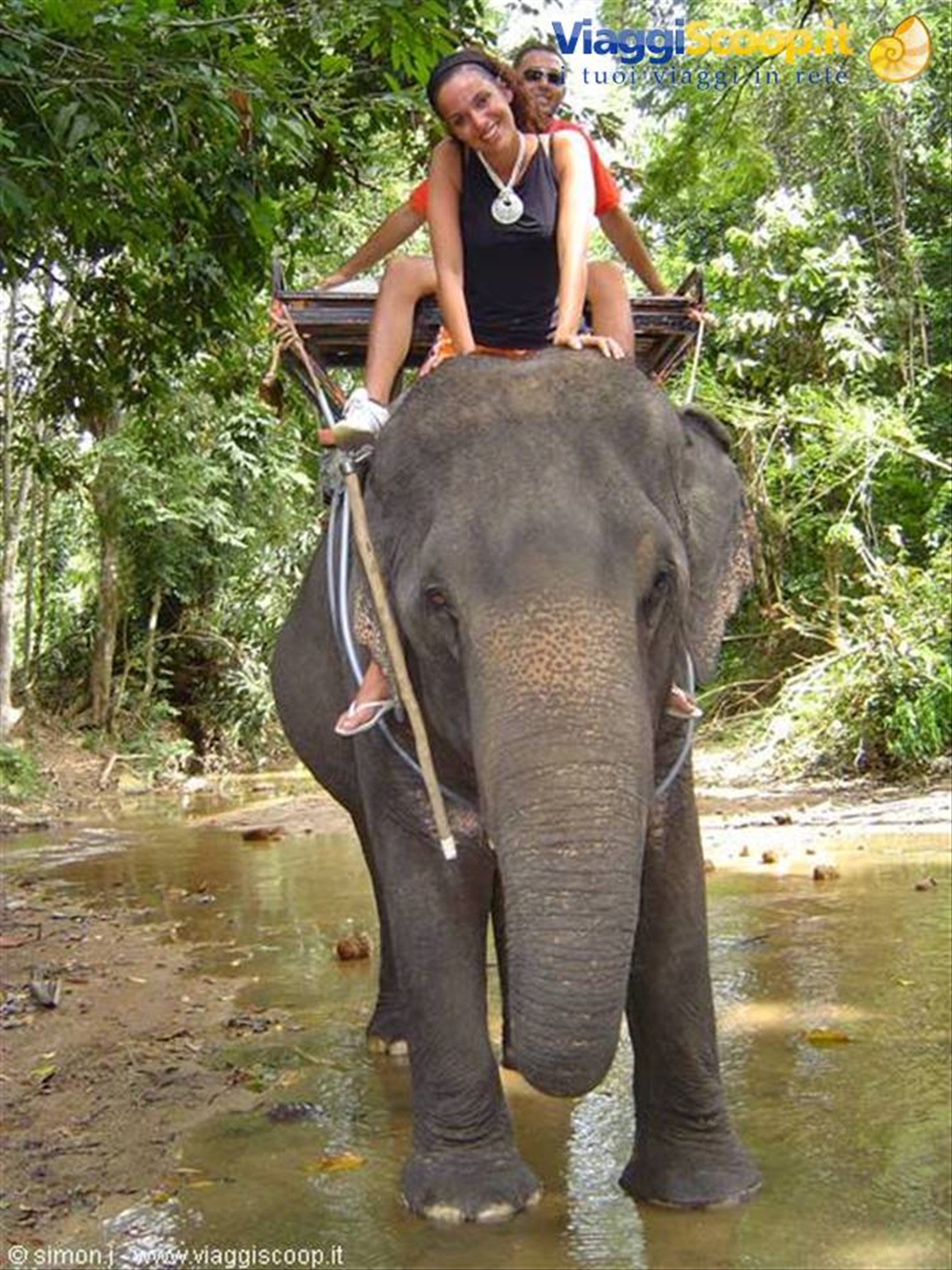 Elephant trekking