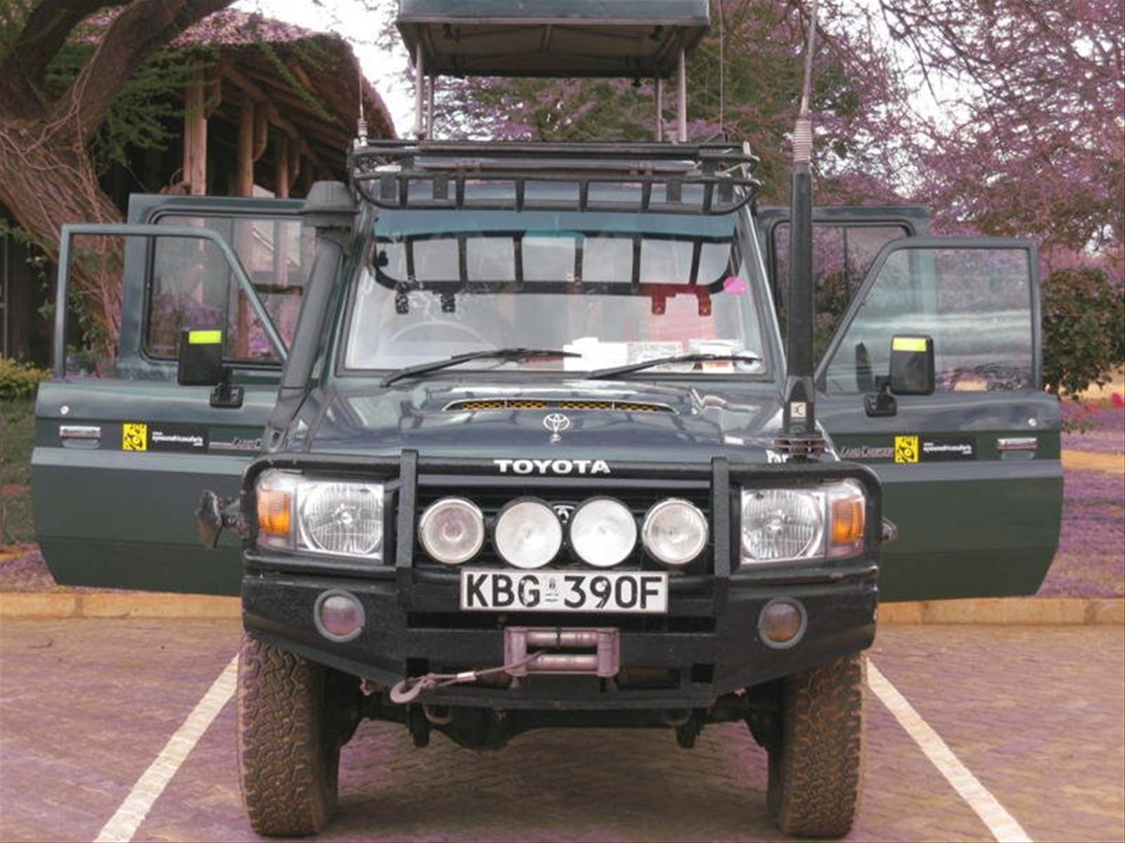 Pronti per il safari
