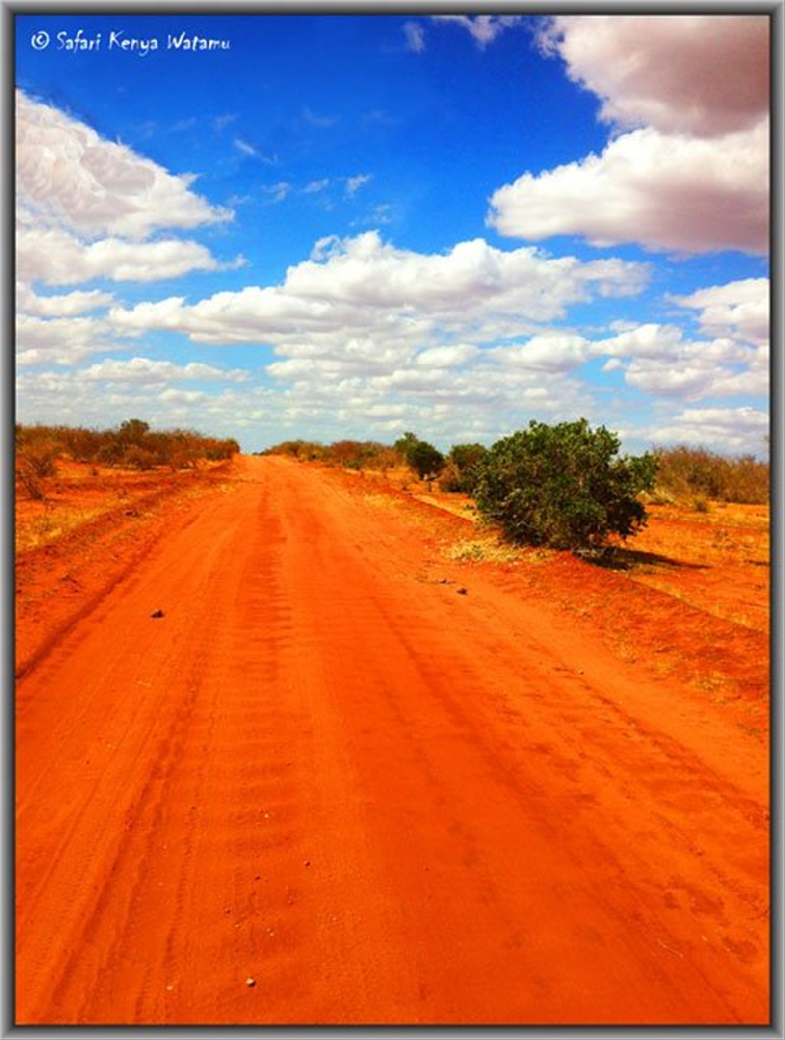 Tsavo est