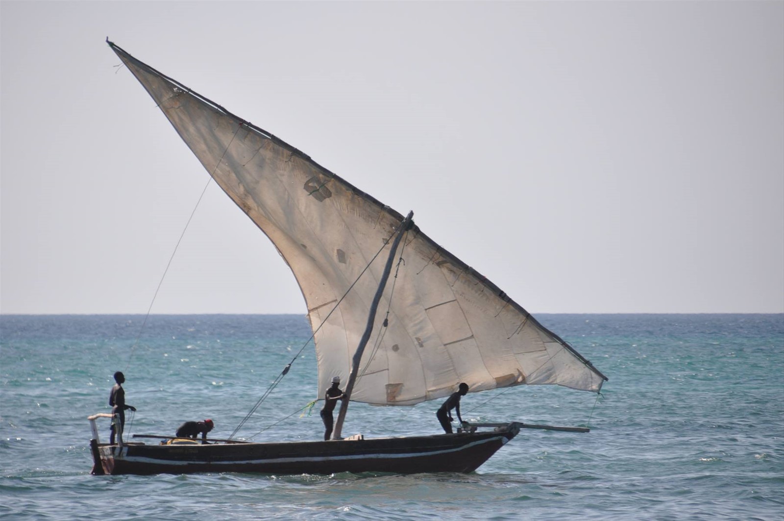 Barca zanzibarina
