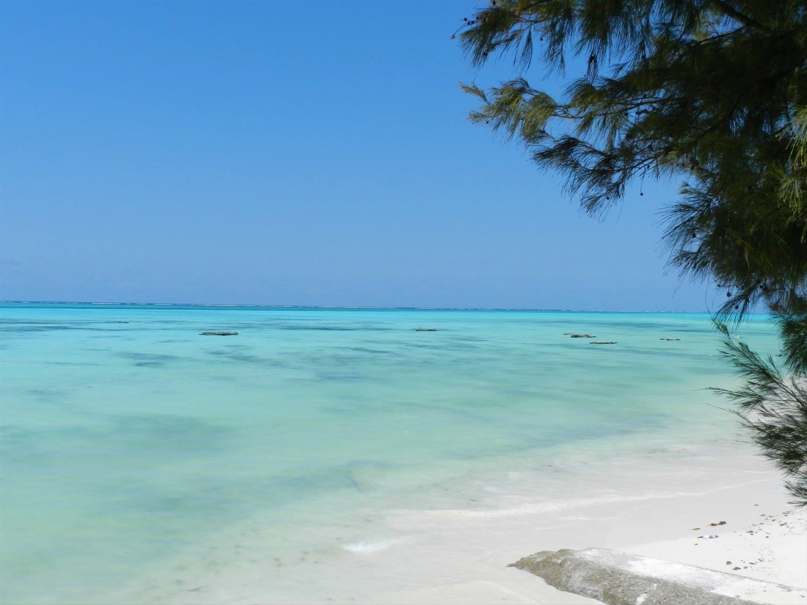 ZANZIBAR, ISOLA DELLE SPEZIE- Imbarcoindividuale.com
