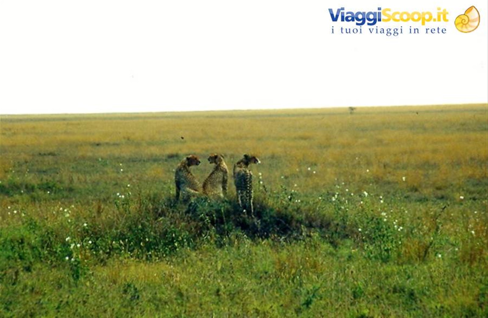 Safari in Tanzania alla ricerca delle sorgenti del Nilo
