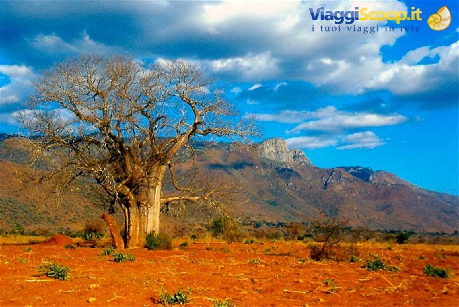 Foto di viaggio in TANZANIA