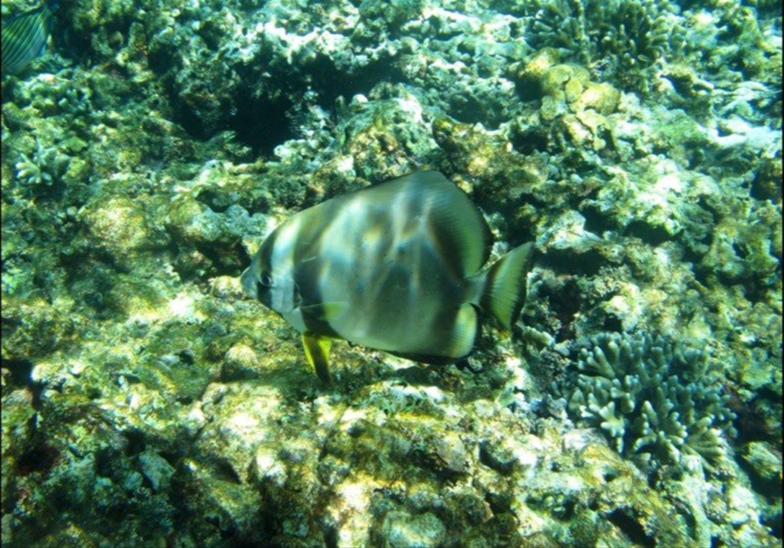 Crociera alle Seychelles -Catamaranocaraibi.com