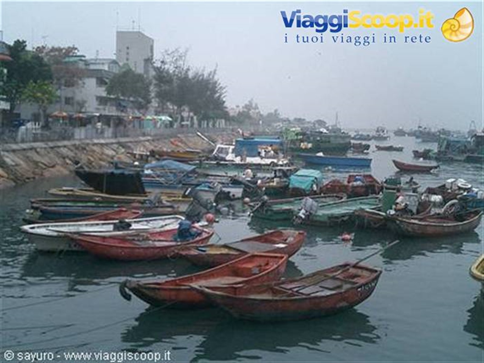 Boat Market