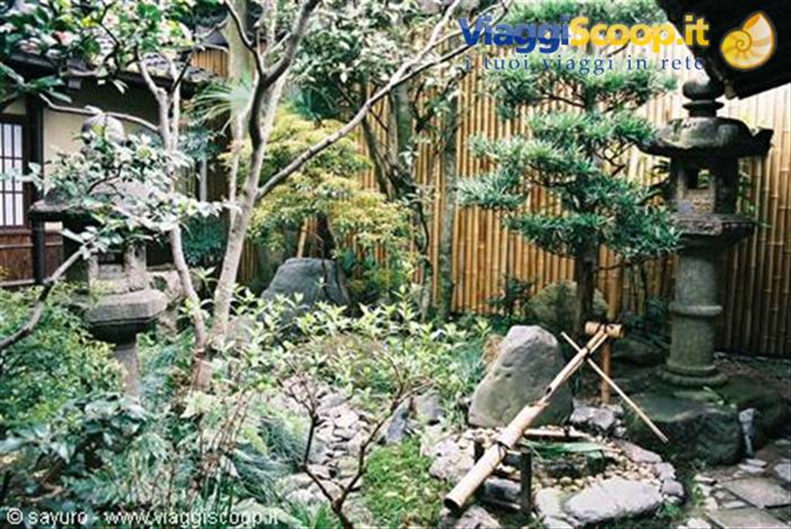 Japanese garden