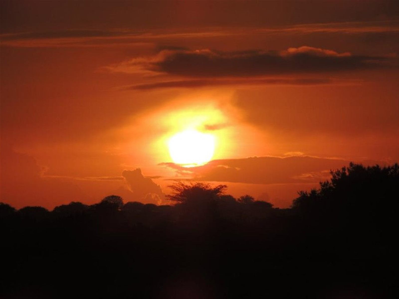 tramonto in savana