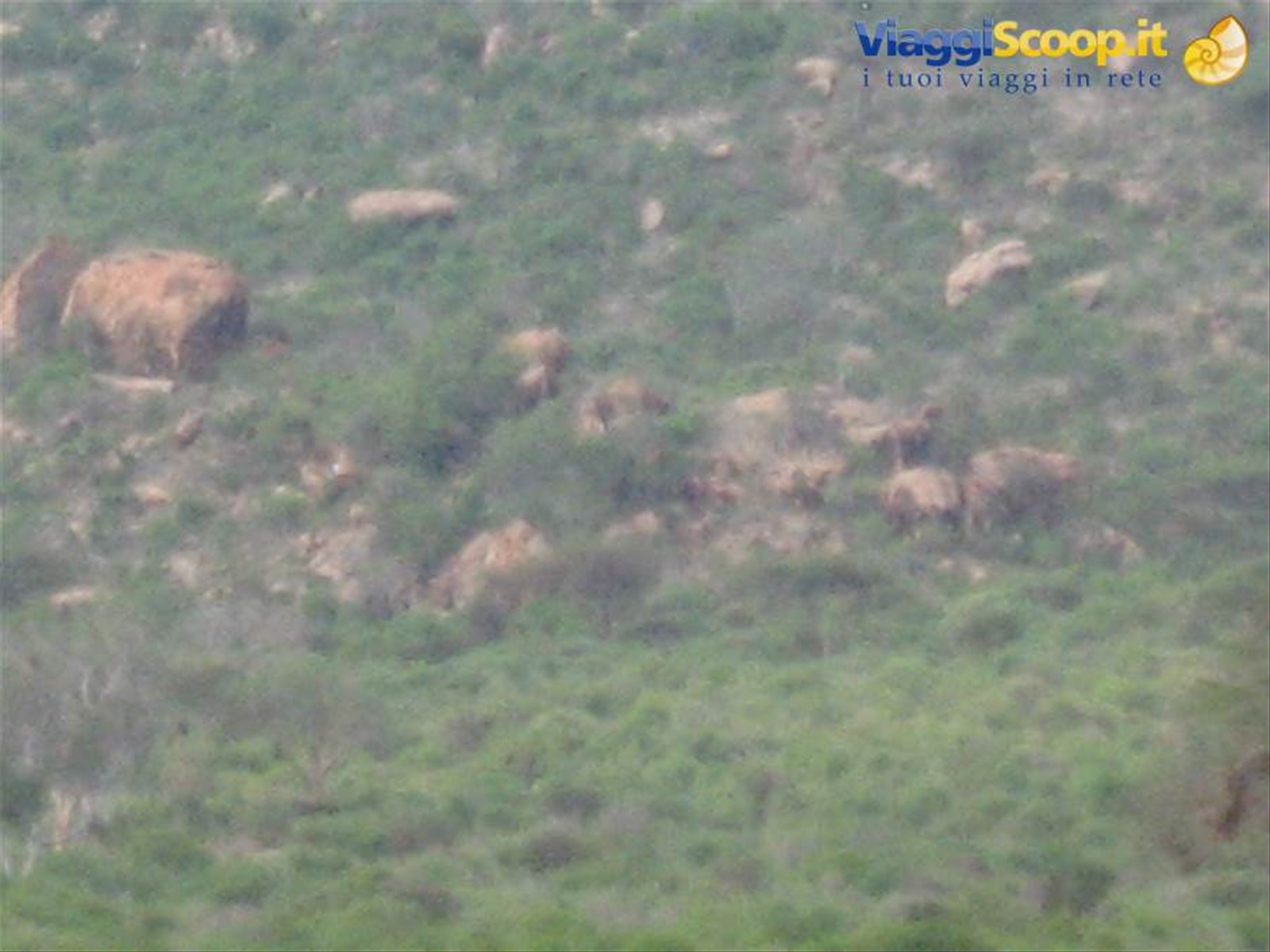 Foto di viaggio in KENYA
