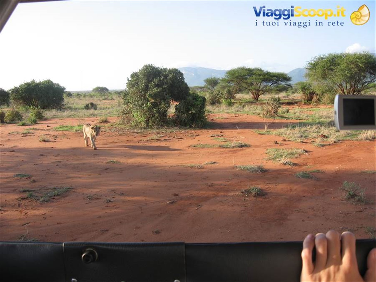 Foto di viaggio in KENYA