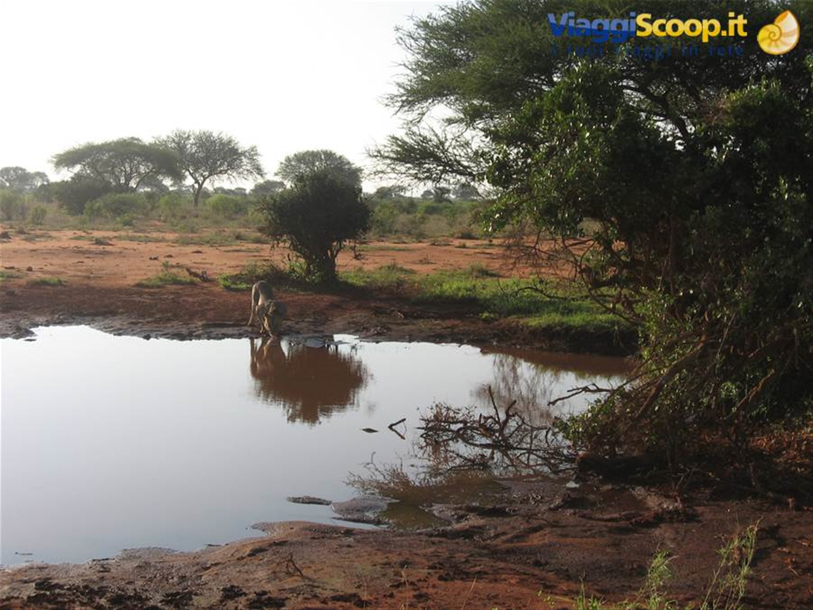 Foto di viaggio in KENYA