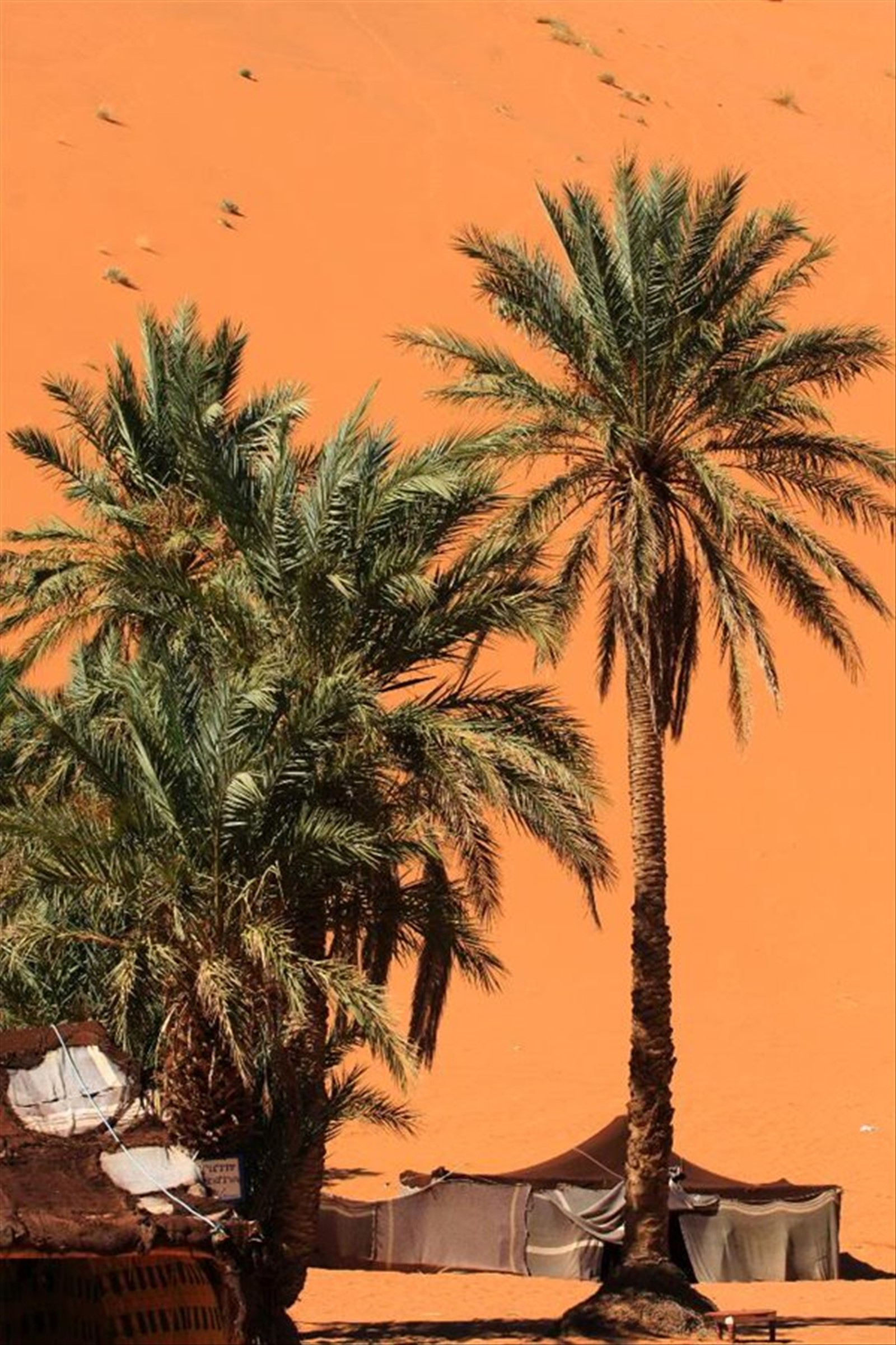 Foto di viaggio in MAROCCO