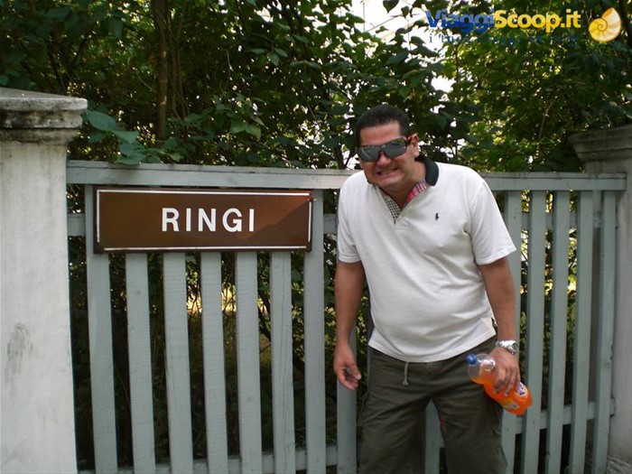 Parnu - Ringi