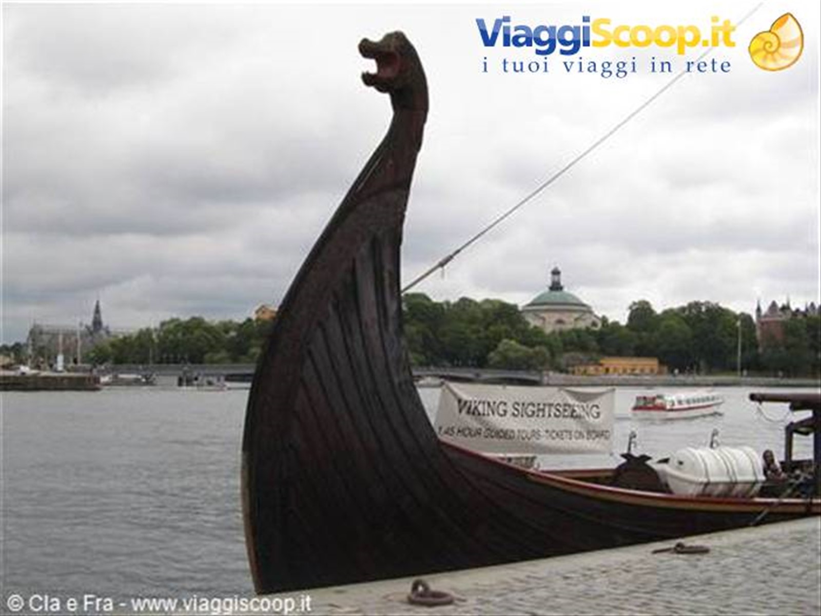 nave vichinga
