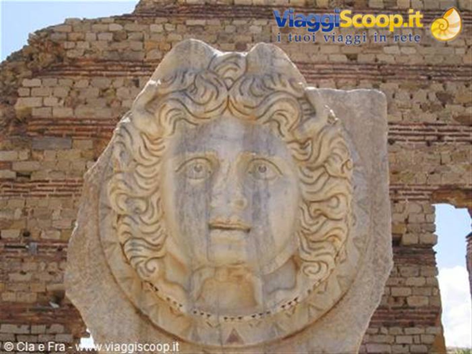 medusa