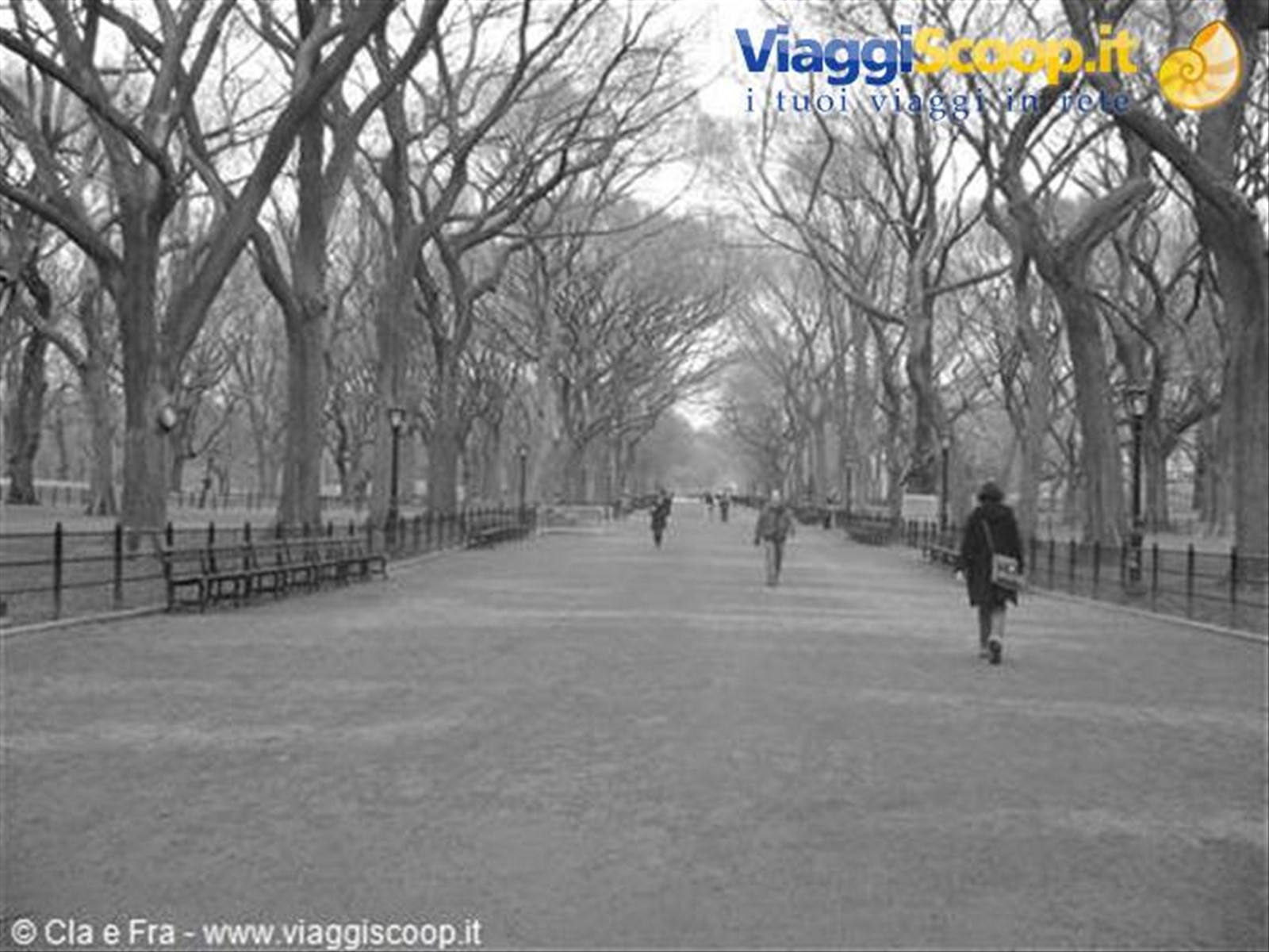 central park
