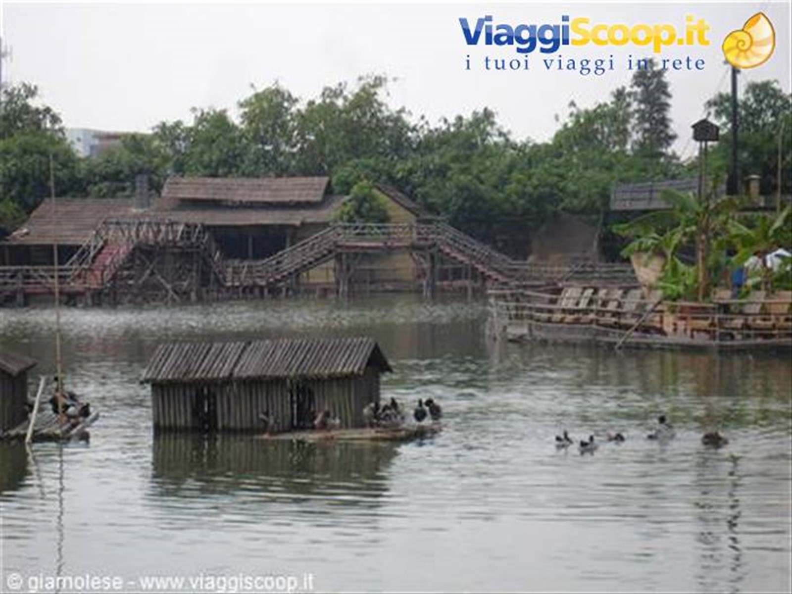 Foto di viaggio in CINA