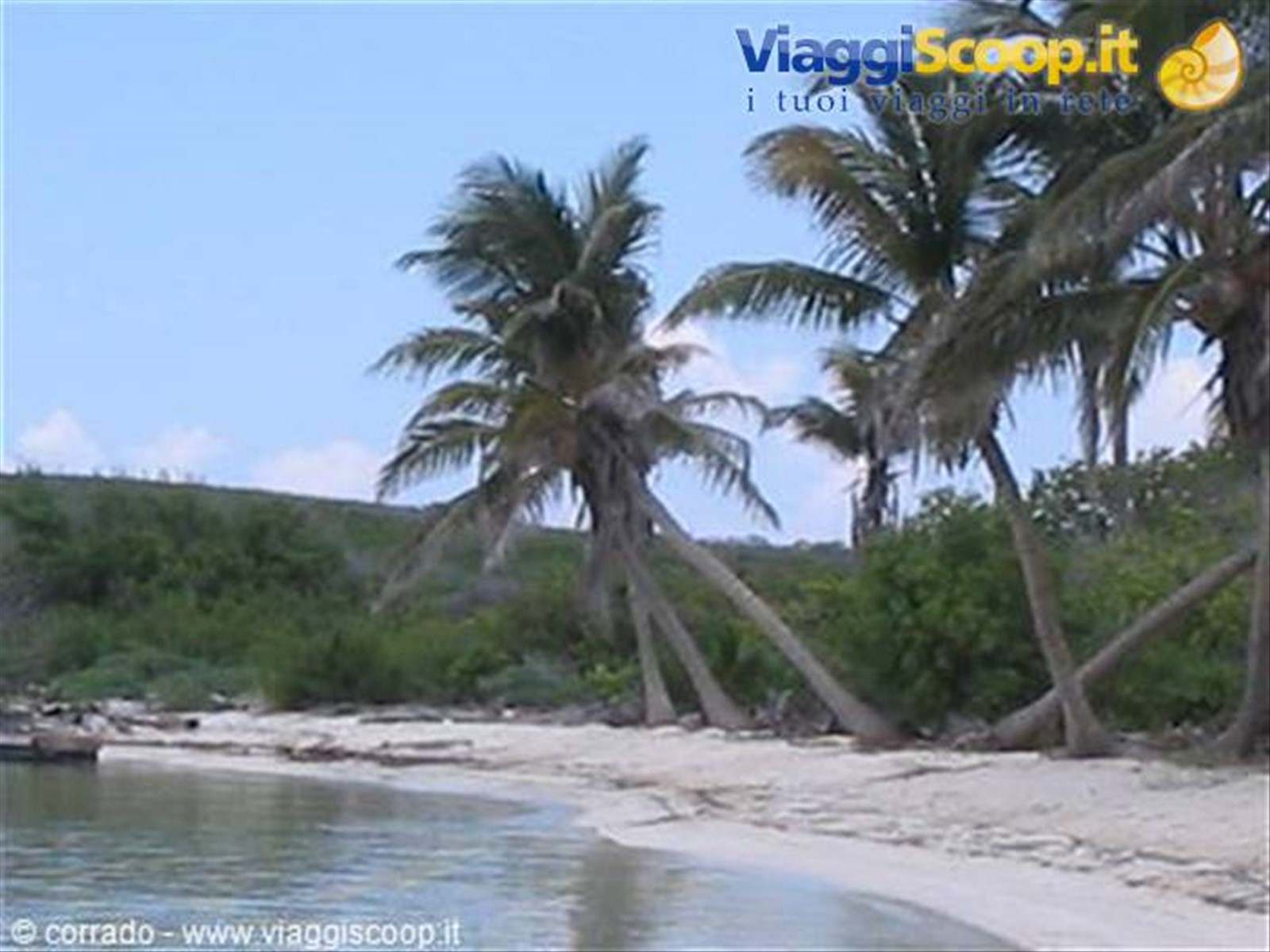 isola contoy