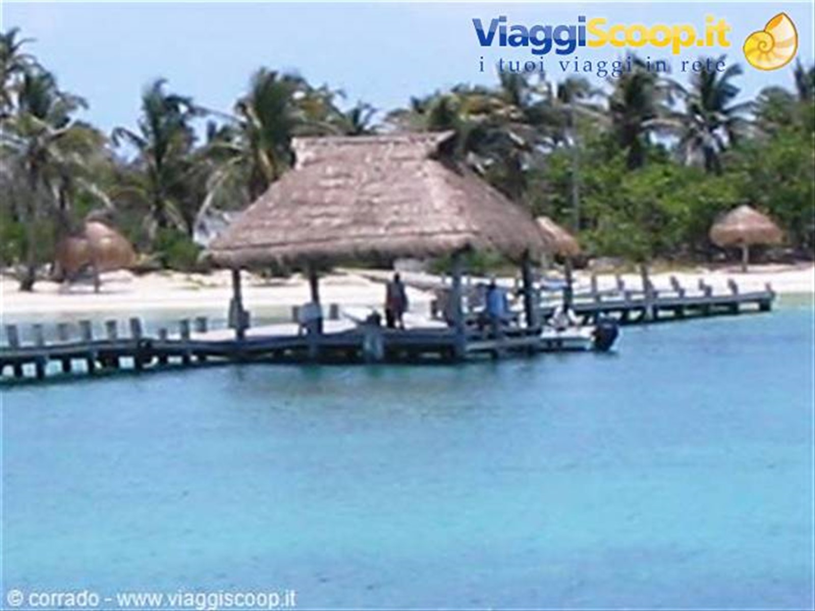 isola contoy