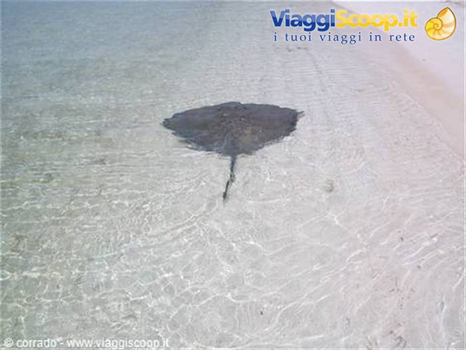 isla contoy