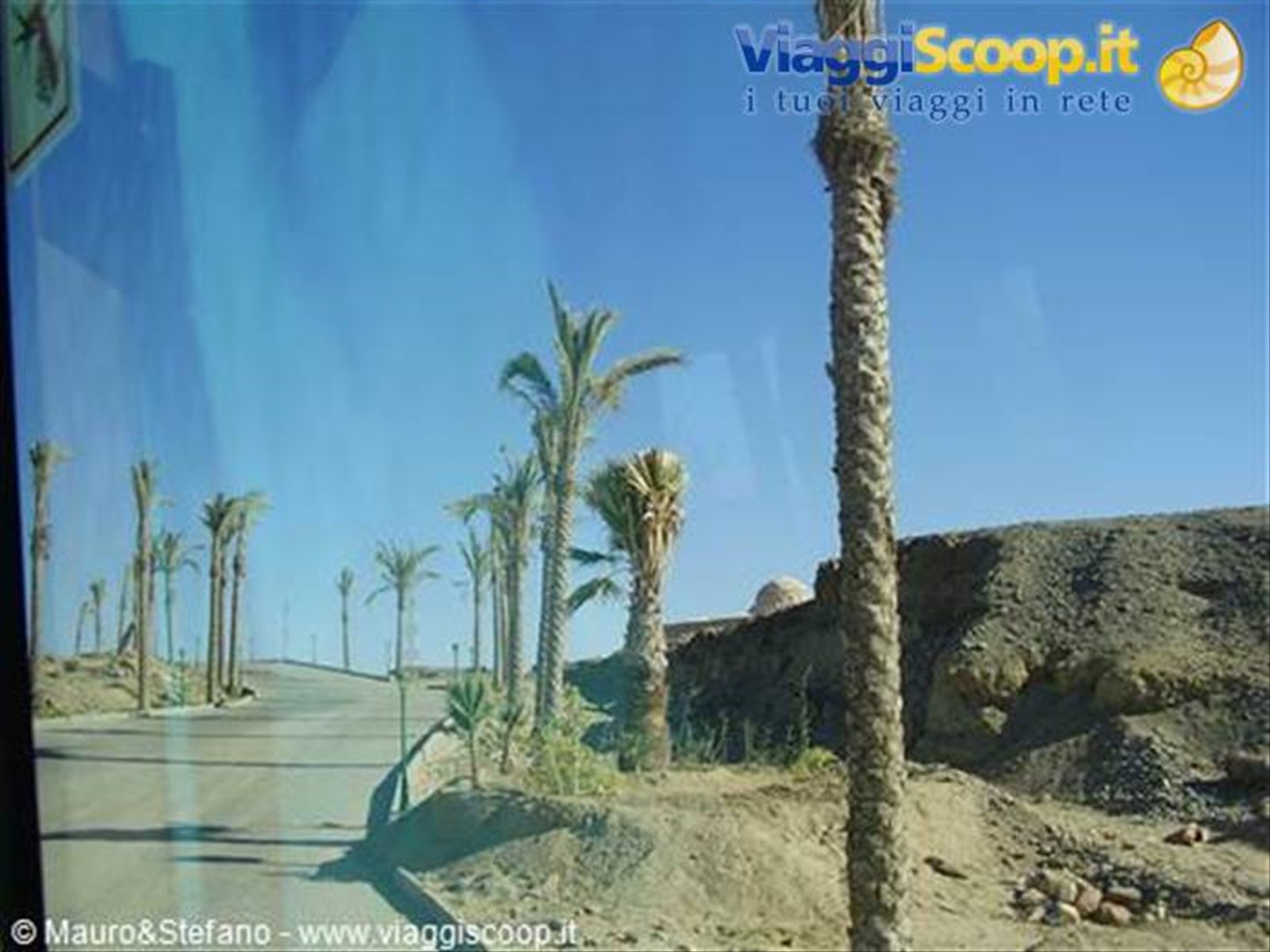 Il viale..... pieno di palme