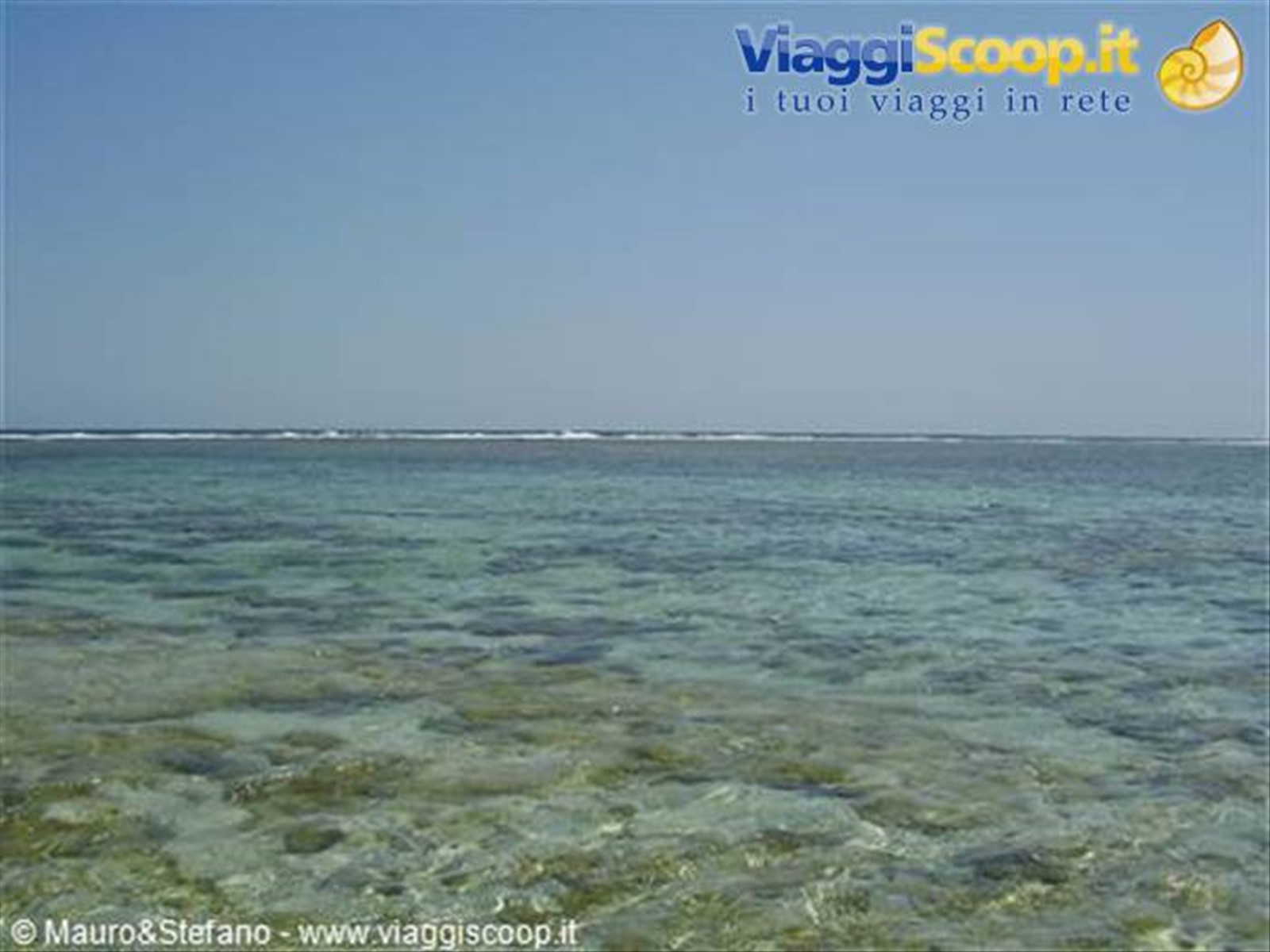 The Red Sea.....