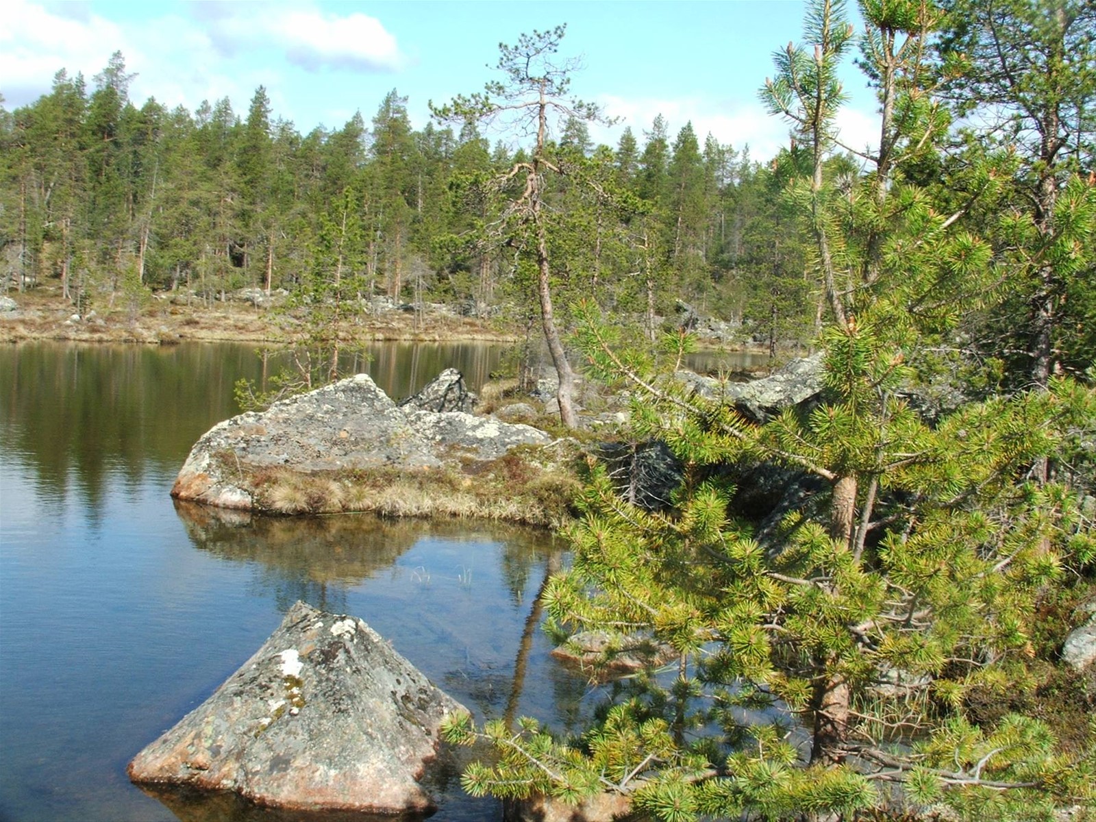 Acqua e terra.