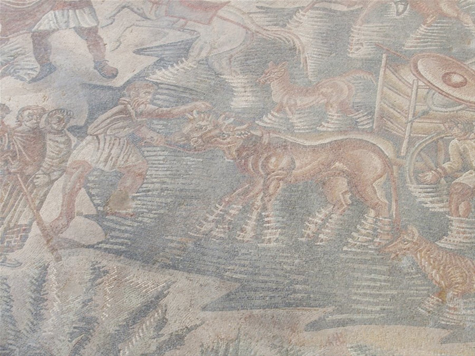 Villa romana del Tellaro, particolari dei mosaici
