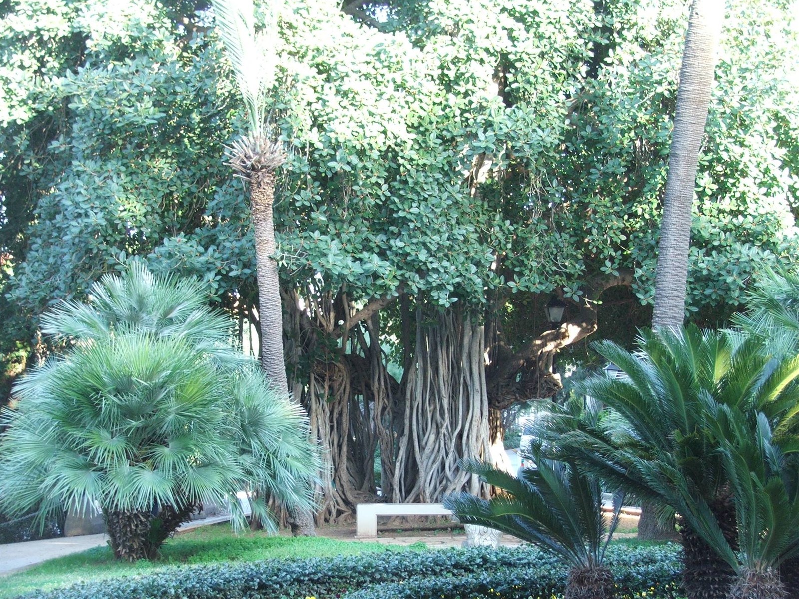 All'interno dell'Università americana.