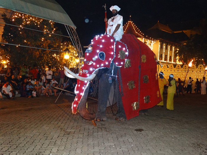 Kandy, Perahera