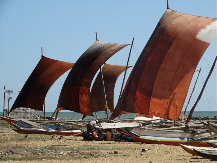 Negombo, barche a bilanciere
