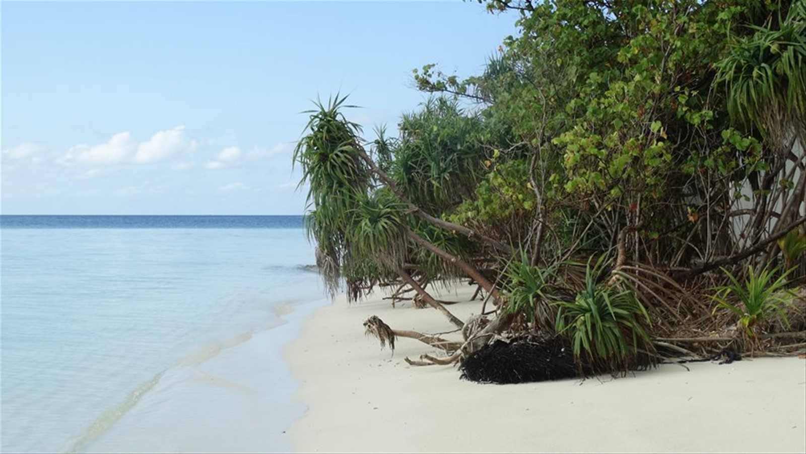 Foto di viaggio in MALDIVE