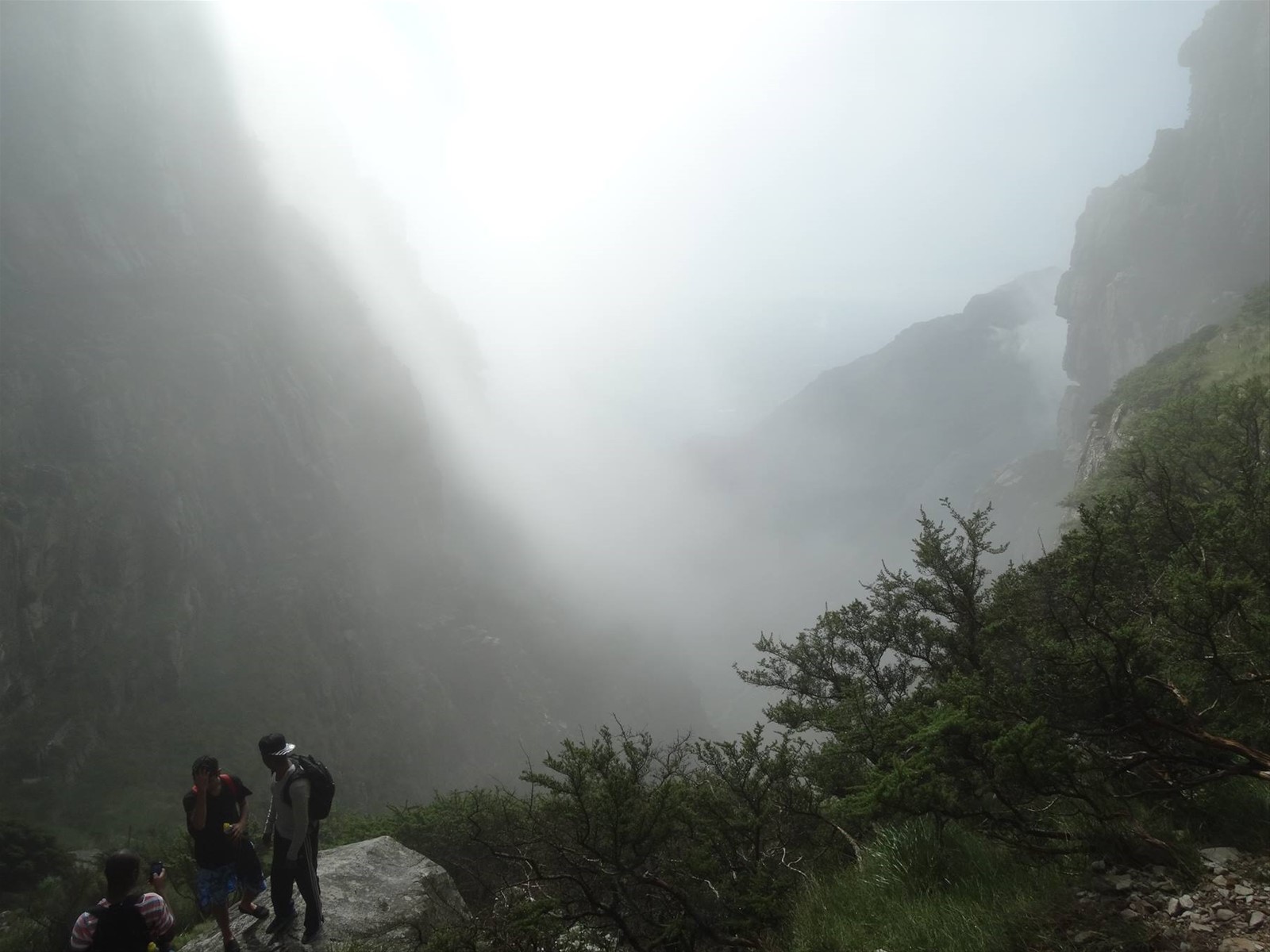 Sulla Table Mountain