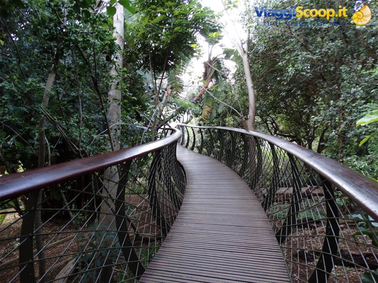 Giardino di Kirstenbosch