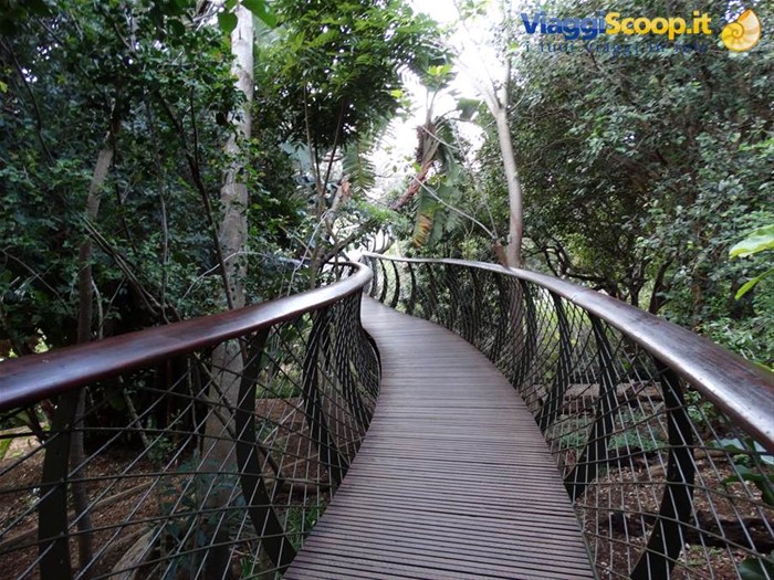 Giardino di Kirstenbosch