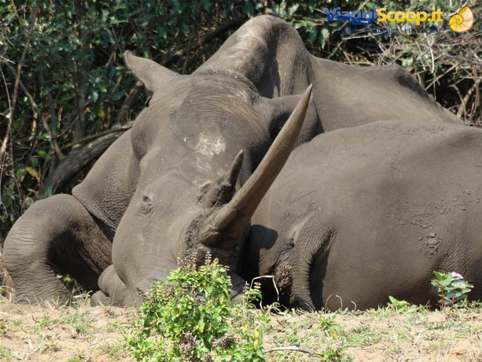 iSimangaliso