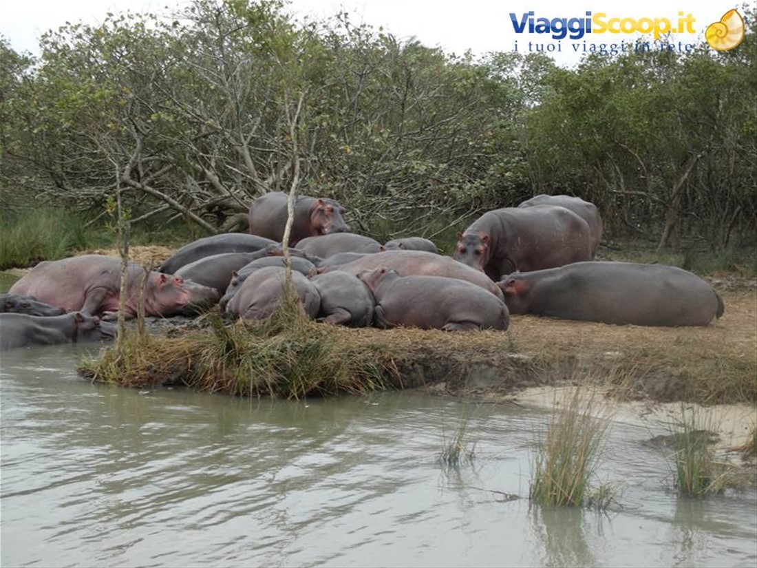iSimangaliso