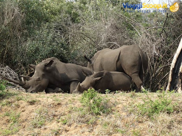iSimangaliso