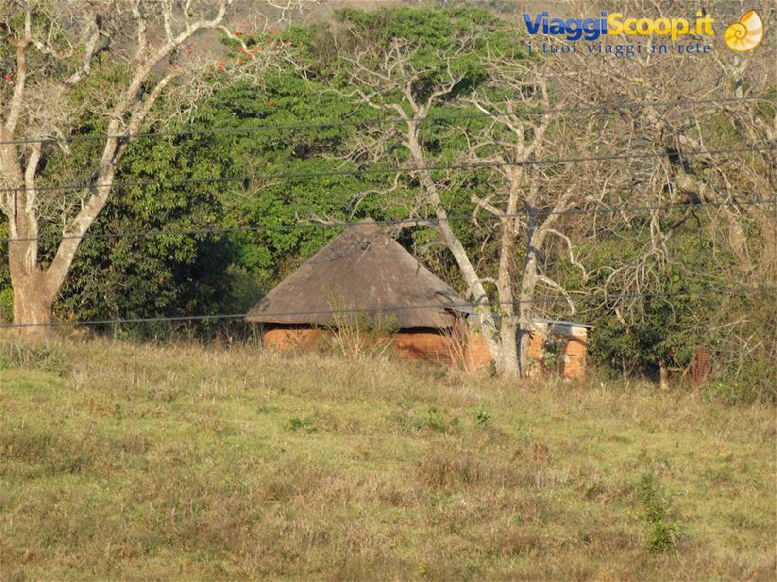 Mabuda Farm