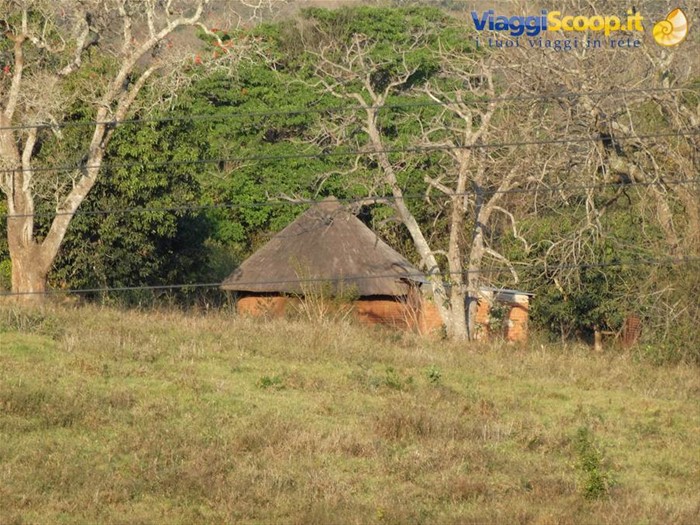 Mabuda Farm
