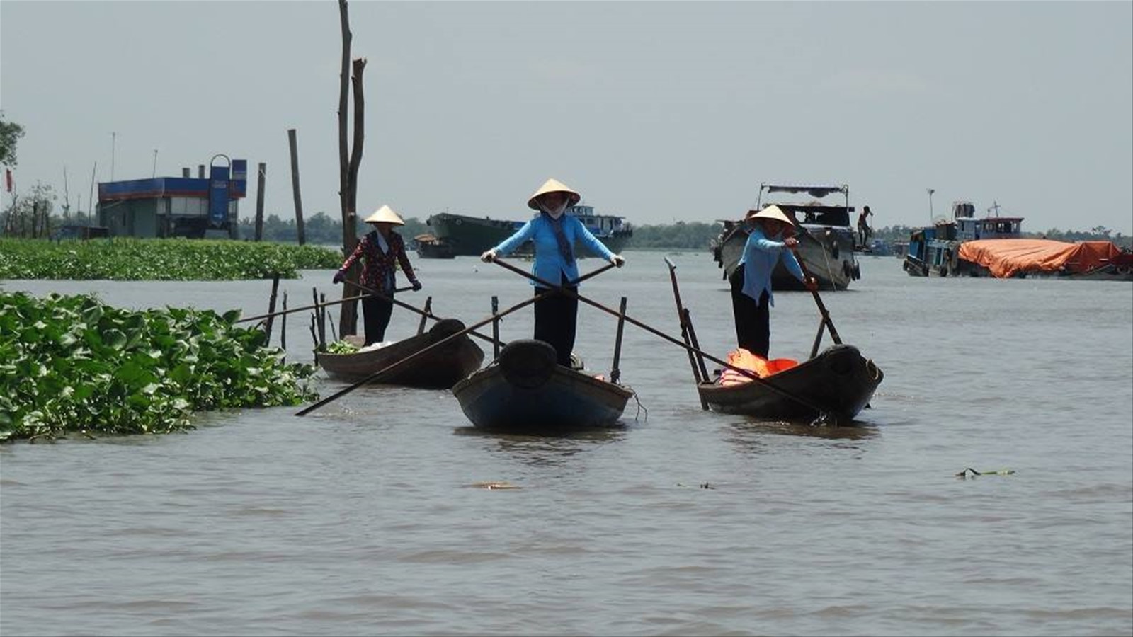 Delta del Mekong