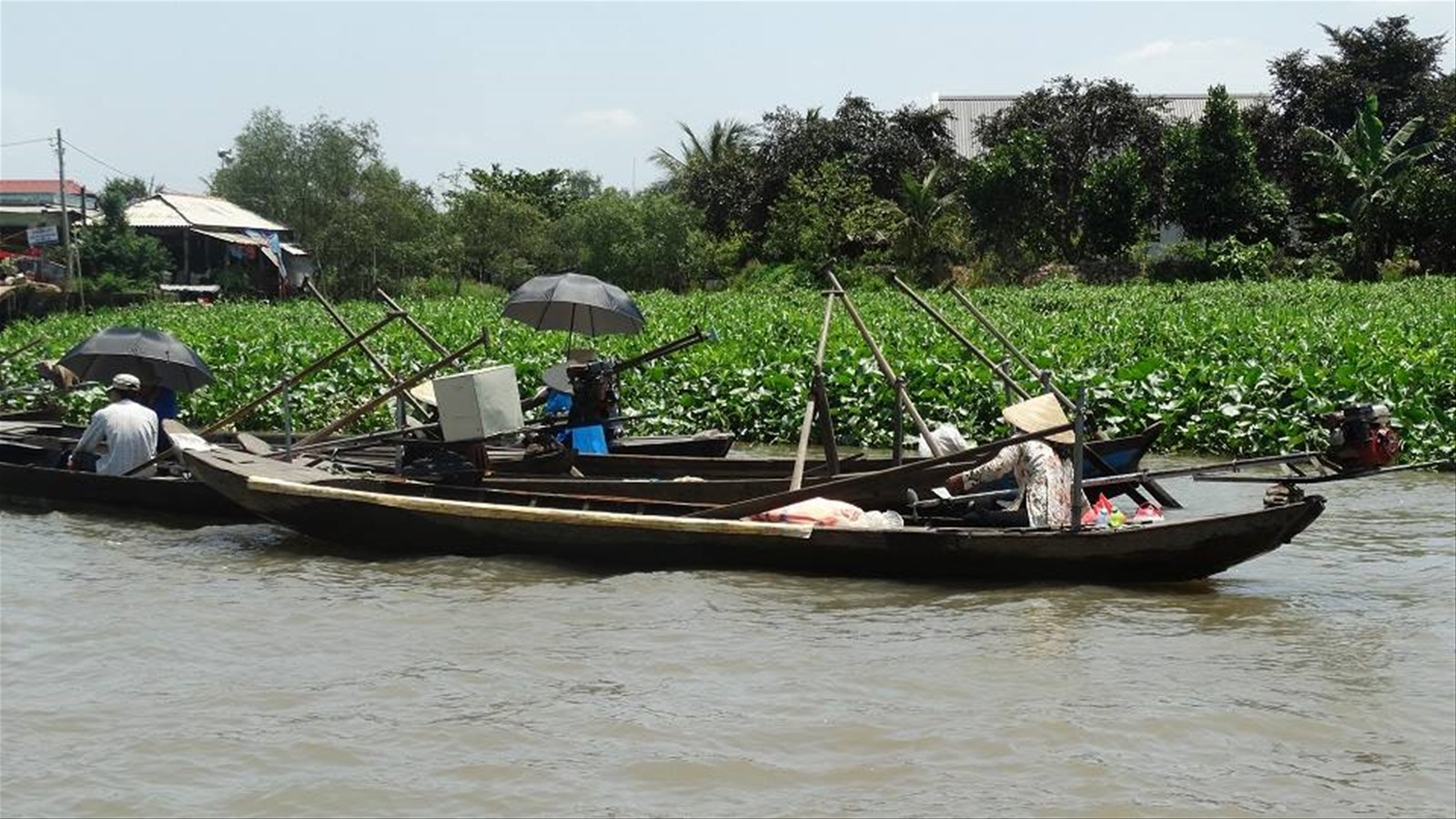 Delta del Mekong