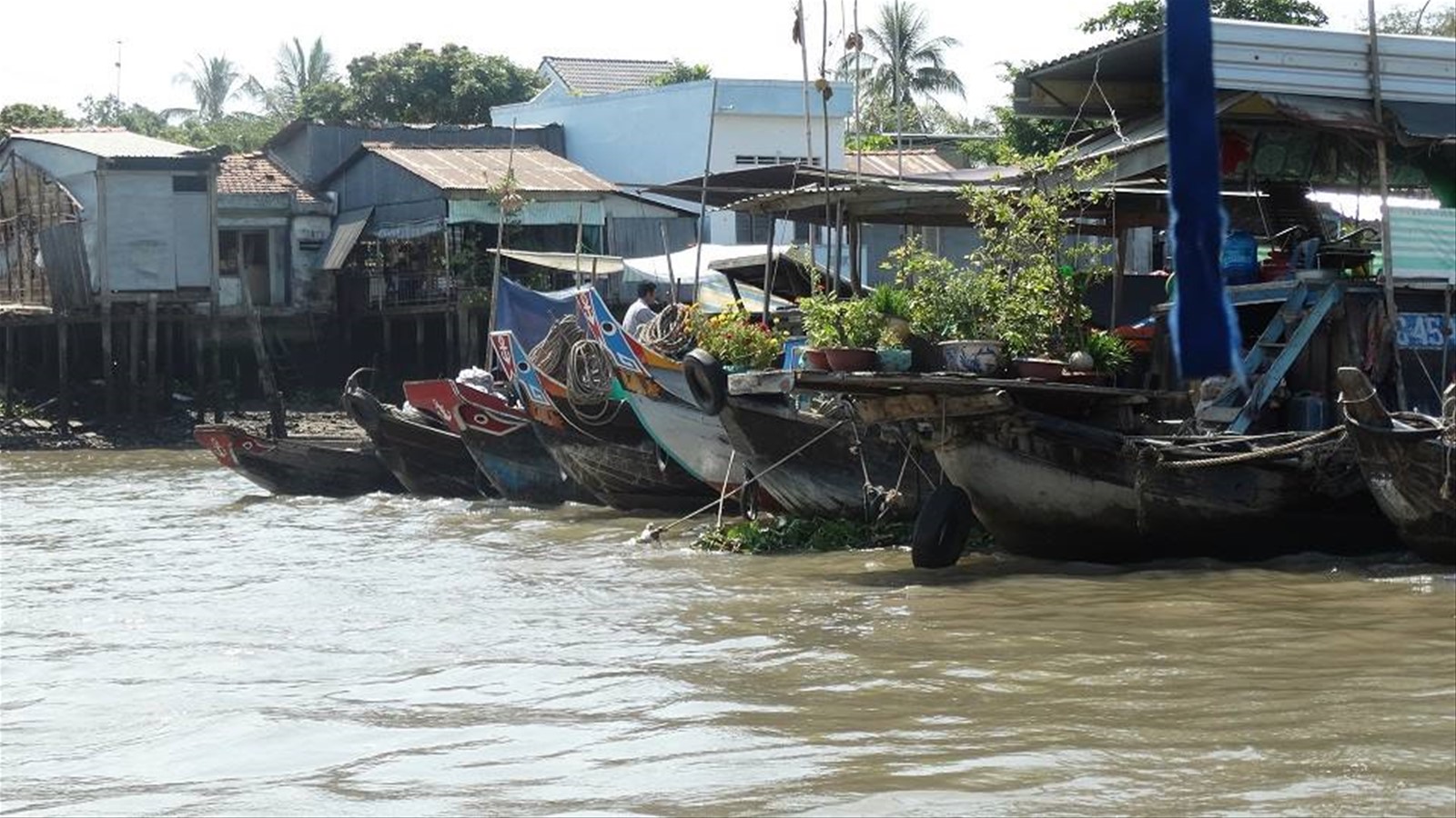 Delta del Mekong