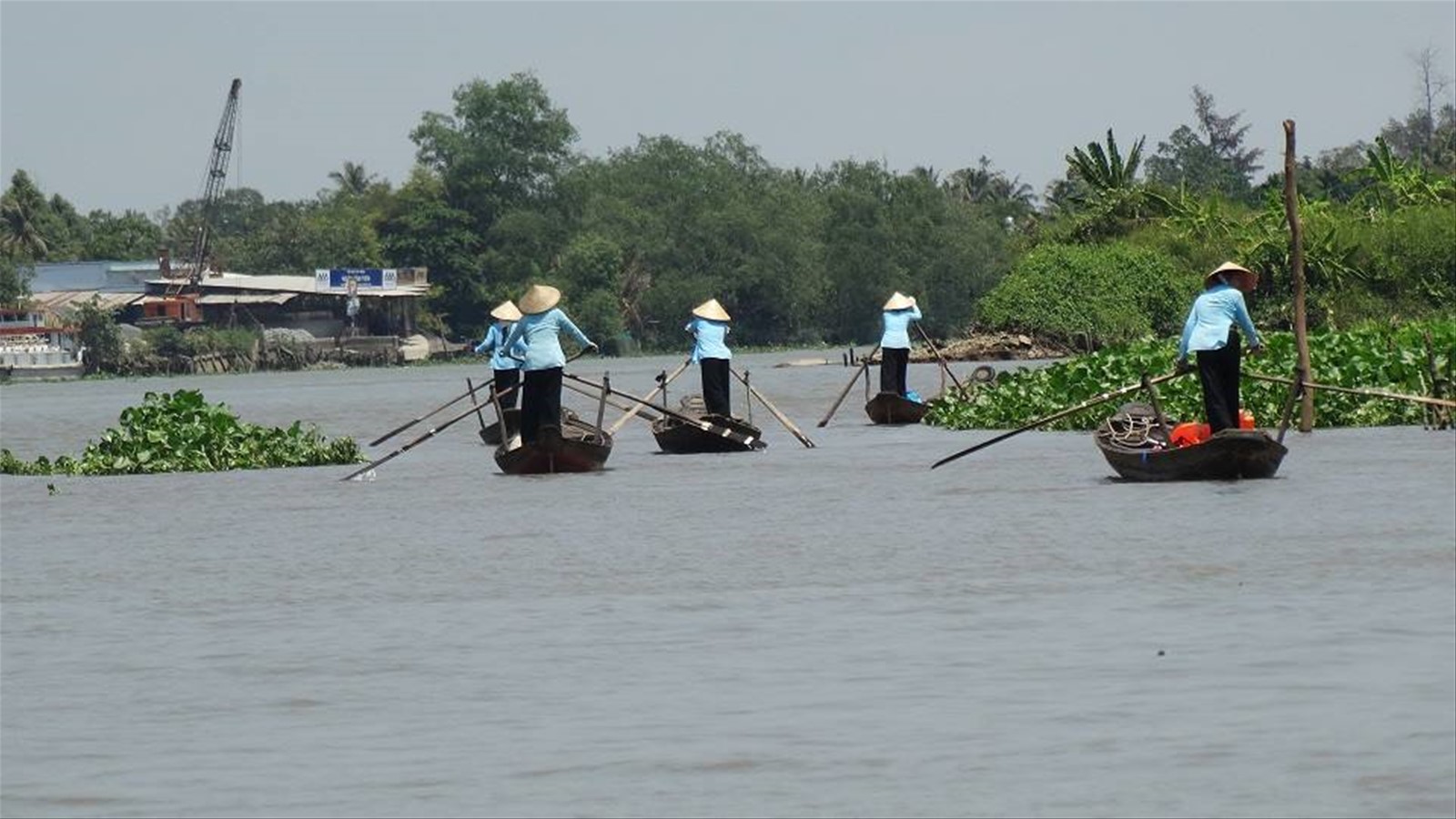 Delta del Mekong